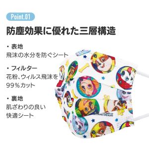 スケーター マスク 不織布 プリーツ マスク ...の詳細画像5