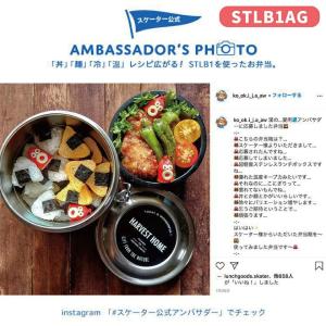 スケーター 保温弁当箱 600ml どんぶり ...の詳細画像3