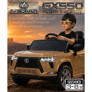[完成車発送] 新商品 AIJYU TOYS ...の詳細画像1