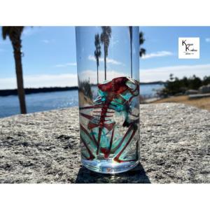 透明標本 カエルの商品一覧 通販 Yahoo ショッピング