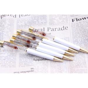 透明標本 ボールペンの商品一覧 通販 Yahoo ショッピング