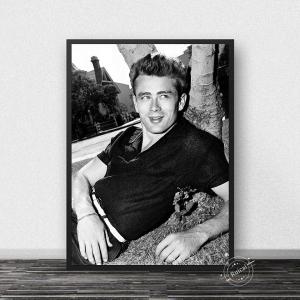 おしゃれ 額付 アートポスター絵画 壁 ジェームスディーン 映画 横顔