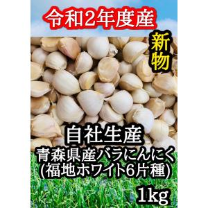 新物販売開始 令和2年度産 にんにく 青森県産 福地ホワイト6片種