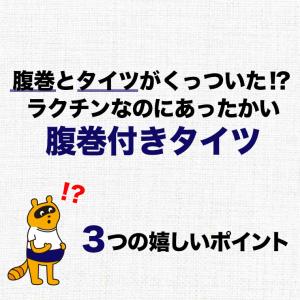 腹巻き タイツ メンズ 長 ズボン下 インナー...の詳細画像1