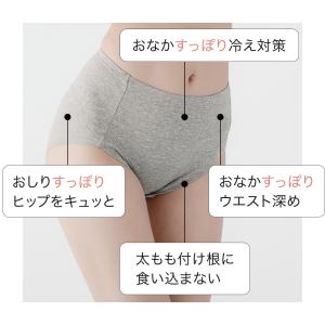 【在庫限り】すっぽり レディース ショーツ 綿...の詳細画像2
