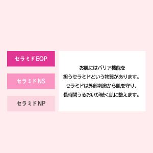 AMPLE:N 公式代理店 国内発送 GIFT...の詳細画像2