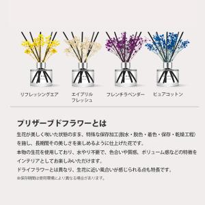【超特価セール】COCODOR ココドール 国...の詳細画像2