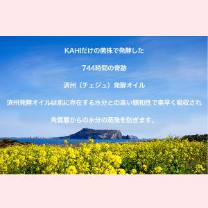 KAHI カヒ 正規品扱い店 マルチバーム エ...の詳細画像4