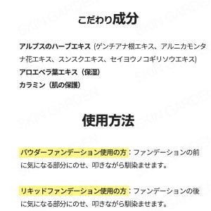 ザセム コンシーラー 国内発送 選べる1+1+...の詳細画像5