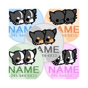 Skipdog 迷子札 スキップみんなのカラー ブラック系 送料無料 ドッグタグ チワワ 犬 名前 プレゼント ネックレス 電話番号 キーホルダー オーダー チワワ専門店スキップドッグ 通販 Yahoo ショッピング