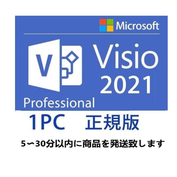 正規版 認証保証 Microsoft Visio Professional 2021 プロダクトキー...