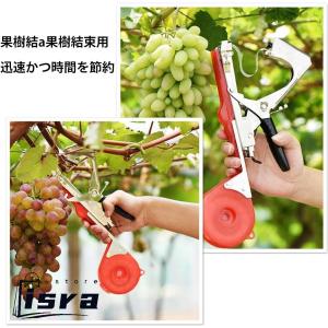 園芸用誘引結束機 テープツール 植物枝【202...の詳細画像5