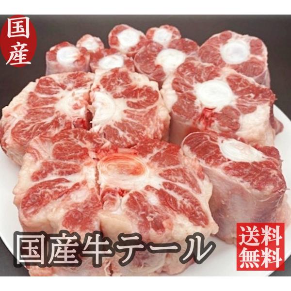 国産牛 テール 約2.4kg  国産 てーる 牛肉 牛骨 ブロック 焼き肉 焼肉 煮込み スープ コ...