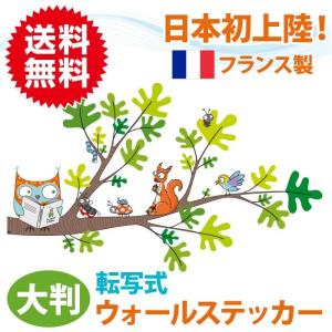 ちょっとお勉強 転写タイプ ウォールステッカー フランス製 壁紙 はがせる カラフル かわいい キッズ 子供 北欧 インテリア アニマル 動物 ポップ セリーゴロ｜sky-group