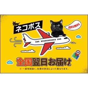 ニップレス 女性用 シリコン 4枚セット ヌー...の詳細画像3