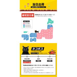 【即納】パナソニック CR2032 10個 セ...の詳細画像4