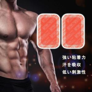 EMS 互換ジェルシート 小1set 6枚 ジ...の詳細画像1