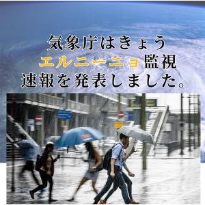レインシューズカバー メンズ レディース 滑ら...の詳細画像1