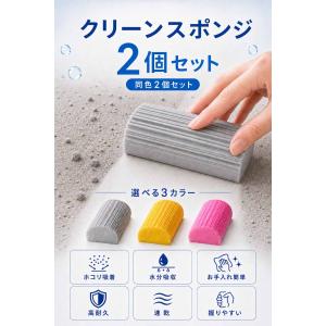ダンプダスタースポンジ 2個セット クリーンス...の詳細画像1