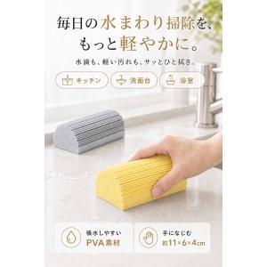 【2個セット】ダンプダスター ダンプダスタース...の詳細画像1