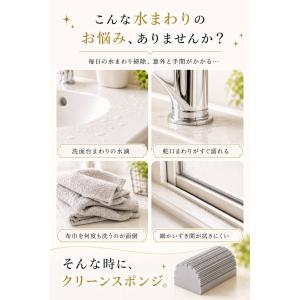 【2個セット】ダンプダスター ダンプダスタース...の詳細画像2
