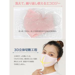 マスク 冷感 5枚セット 洗える おしゃれ 冷...の詳細画像4