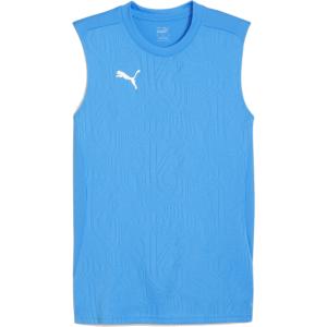 PUMA プーマ TEAMFINAL トレーニング シャツ IGNITE BLUE 659345-02 トレーニングウェアー サッカー｜sky-spo