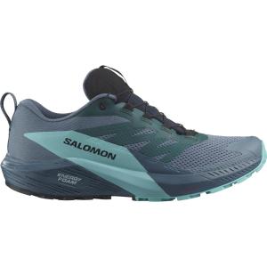 SALOMON サロモン トレイルランシューズ SENSE RIDE5 GORE-TEX Carbon/BlueRadiance/ChinaBlue｜sky-spo