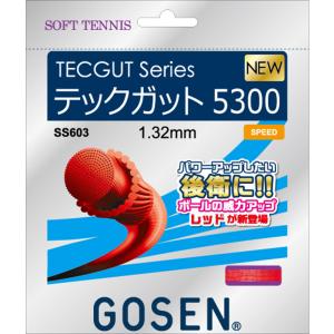 GOSEN ゴーセン テックガット5300 レッド SS603RE テニスストリング｜sky-spo