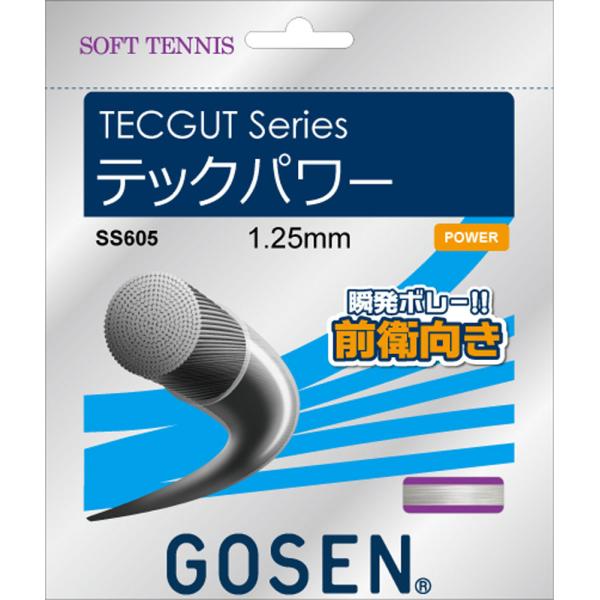 GOSEN ゴーセン テックガット テックパワー ナチュラル SS605NA テニスストリング