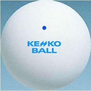 NIKKO ニッコーテニス ソフトテニスボール スタンダード ホワイト12個（1ダース）｜sky-spo