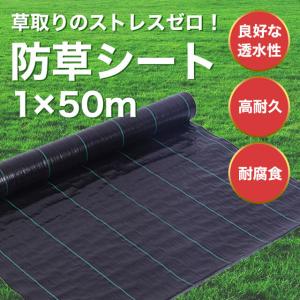 防草シート 2m×30m 農用シート 草よけシート 除草シート 高耐久