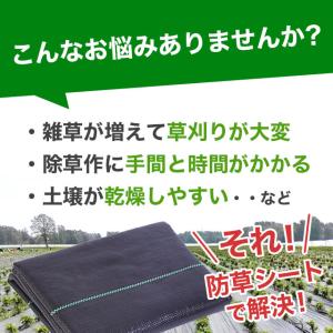 防草シート 防そうシート 除草シート 10年耐...の詳細画像1