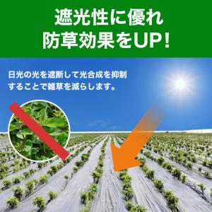 防草シート 防そうシート 除草シート 10年耐...の詳細画像3