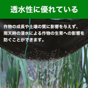 防草シート 防そうシート 除草シート 10年耐...の詳細画像4