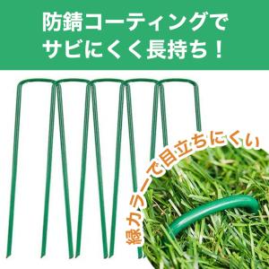 防草シート 農用シート 固定ピン 人工芝 抑え...の詳細画像3