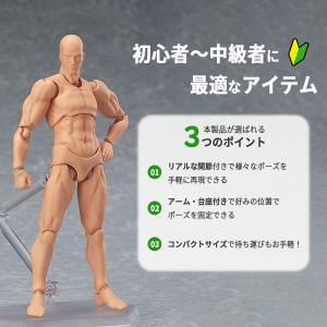 デッサンドール 男女セット台座付き 人形人体 ...の詳細画像1