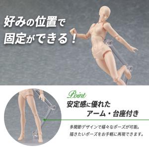 デッサンドール 男女セット台座付き 人形人体 ...の詳細画像3