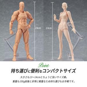 デッサンドール 男女セット台座付き 人形人体 ...の詳細画像4