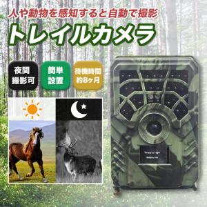 在庫特価 富士倉 熱感知式防犯カメラ デジタルトレイルカメラ