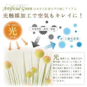 観葉植物 フェイクグリーン リアル 光触媒 人...の詳細画像2