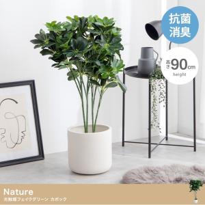 タカショー 【室内用】 人工植物 グリーングッズ 人工苔 苔マット (GN