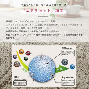 ラグ ラグマット おしゃれ 夏 洗える 北欧 ...の詳細画像5