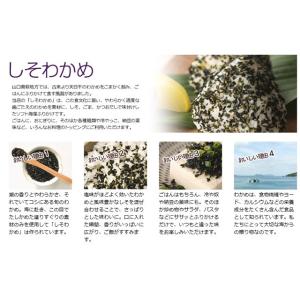萩 井上商店 しそわかめ 80g 3袋 ネコポ...の詳細画像1