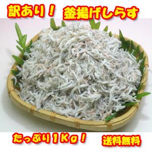 釜揚げしらす 愛媛県産 訳あり業務用 1kg　送料無料 釜...