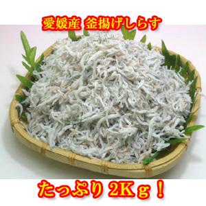 釜揚げしらす 愛媛県産 訳あり業務用 2kg　送料無料 釜...