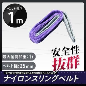 １本入り スリングベルト 1ｔ 1m 耐荷重1000kg ナイロン ベルトスリング 吊具【クリックポスト】全国一律送料無料