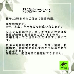 (イエコ MS 100匹) コオロギ 生き餌 ...の詳細画像5