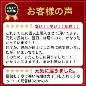 (イエコ SS 100匹) コオロギ 餌 SS...の詳細画像2