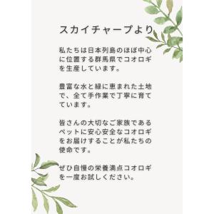 (ク MS-M 20g) クロコオロギ 生き餌...の詳細画像3
